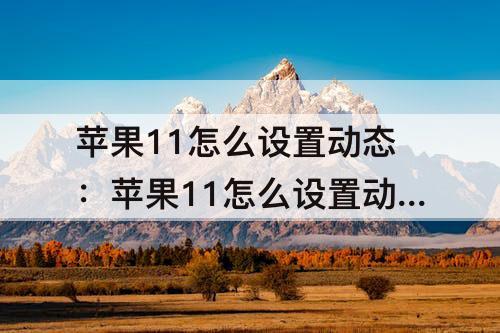 苹果11怎么设置动态：苹果11怎么设置动态锁屏壁纸有声音