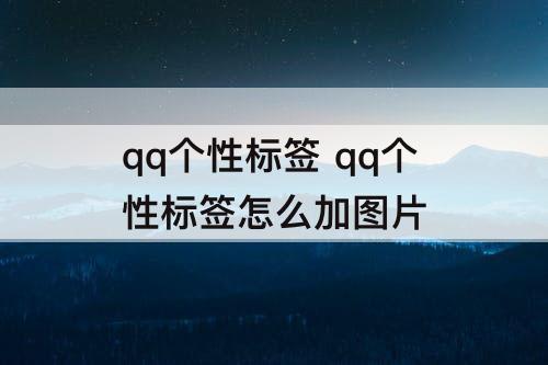 qq个性标签 qq个性标签怎么加图片