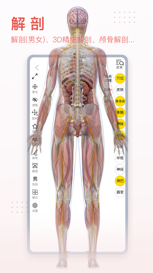 3Dbody解剖最新版  v8.7.23图1