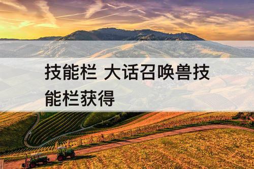 技能栏 大话召唤兽技能栏获得