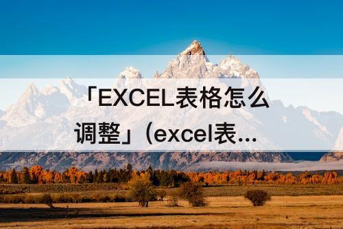 「EXCEL表格怎么调整」(excel表格怎么调整大小让其他表格不变)