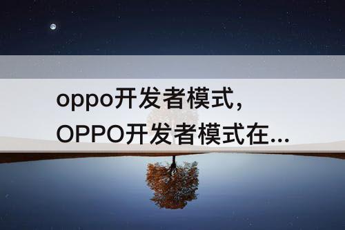 oppo开发者模式，OPPO开发者模式在哪里