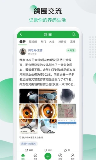 中国信鸽信息网  v20220618图2