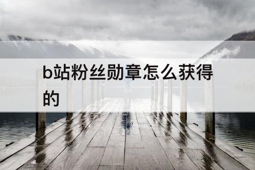 b站粉丝勋章怎么获得的