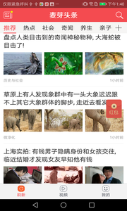 麦芽头条  v1.3.2图1