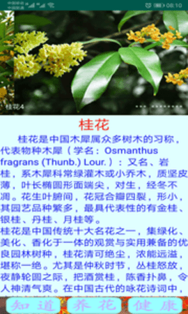 绿植花卉2024  v9.0.1图3