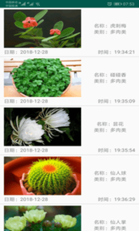 绿植花卉2024