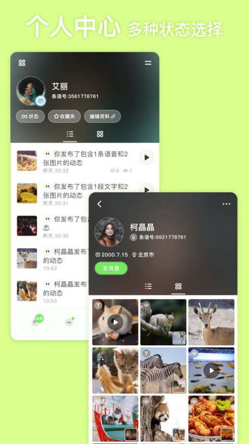 条语免费版  v2.0图1