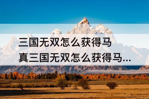 三国无双怎么获得马 真三国无双怎么获得马匹