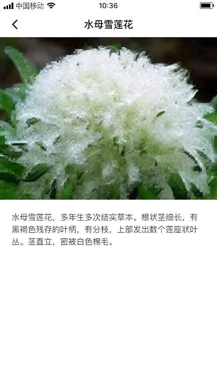 云鼎雪莲  v1.0.0图2