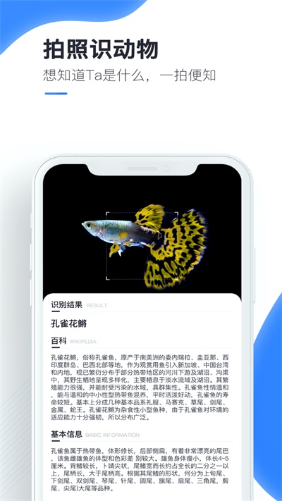 百科扫描王破解版下载  v1.0.0图1