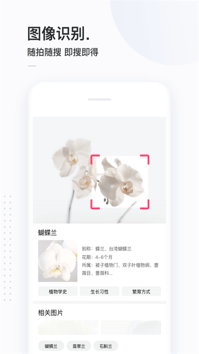 简单搜索  v3.9.5图3