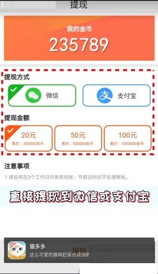 猫多多  v1.1.0图3