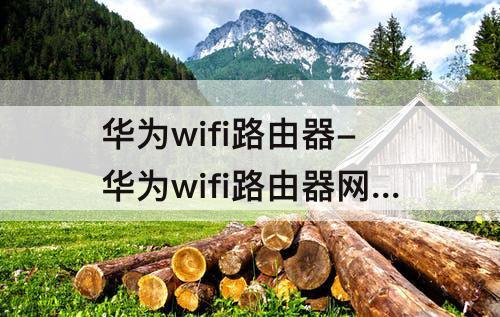 华为wifi路由器-华为wifi路由器网址是多少