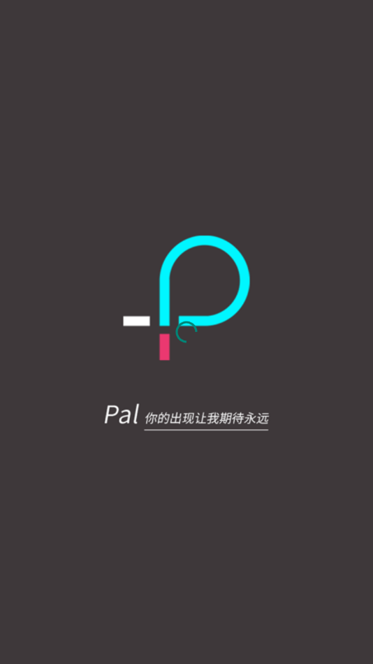 PAl软件下载