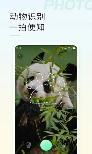 智能拍照识物  v1.2.2图2