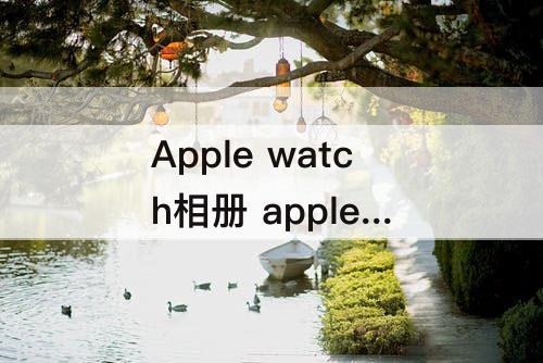 Apple watch相册 apple watch相册不更新