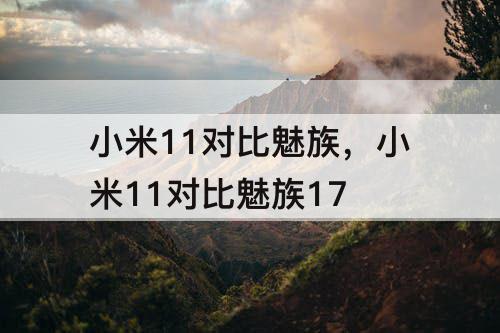 小米11对比魅族，小米11对比魅族17