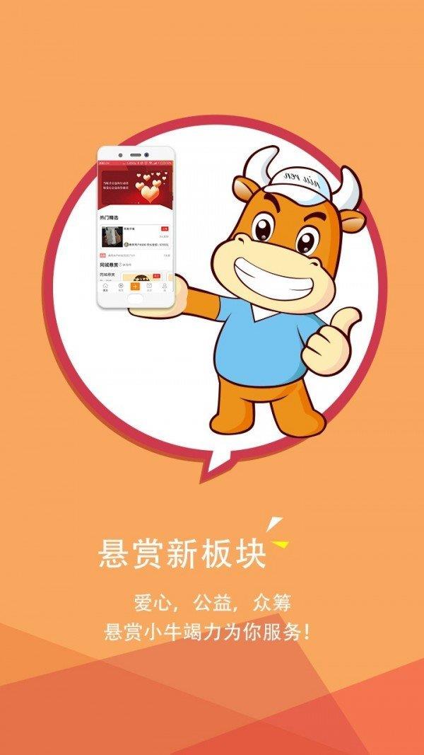悬赏网  v1.1图1