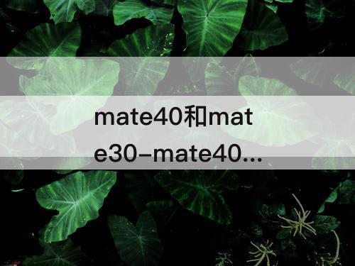 mate40和mate30-mate40和mate30pro拍照对比