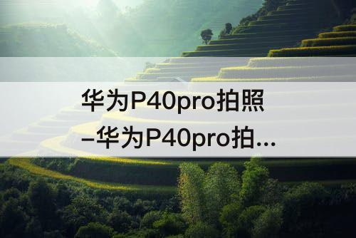 华为P40pro拍照-华为P40pro拍照技巧