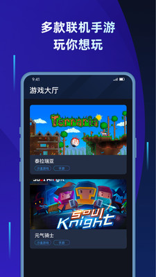 蒲公英联机平台电脑版官网  v1.2图3