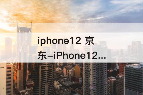 iphone12 京东-iPhone12 京东自营