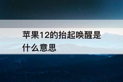 苹果12的抬起唤醒是什么意思