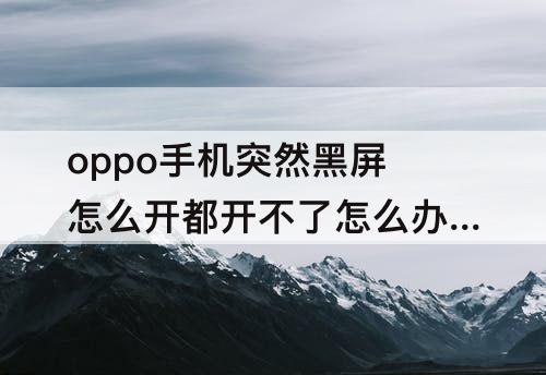 oppo手机突然黑屏怎么开都开不了怎么办要不然就白屏