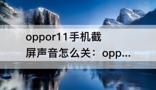 oppor11手机截屏声音怎么关：oppor11手机截屏声音怎么关闭