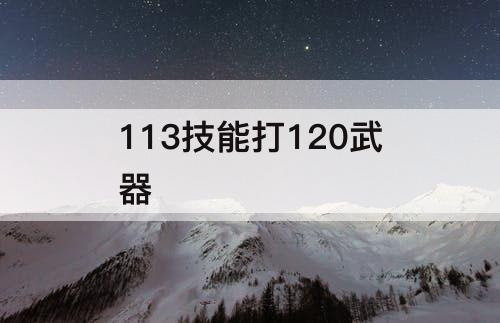 113技能打120武器