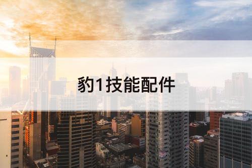 豹1技能配件