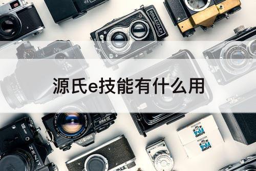 源氏e技能有什么用