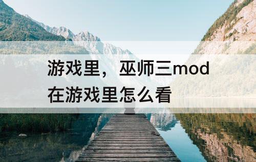 游戏里，巫师三mod在游戏里怎么看
