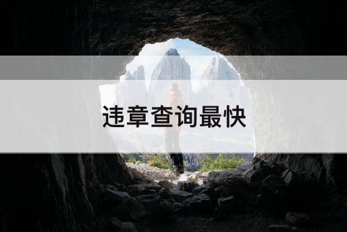 违章查询最快