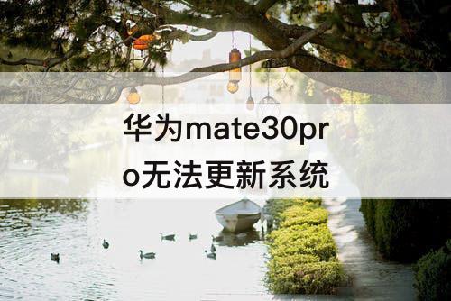 华为mate30pro无法更新系统