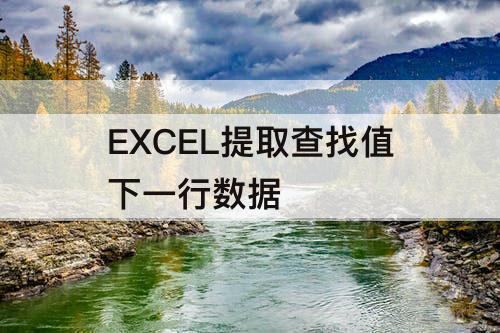 EXCEL提取查找值下一行数据