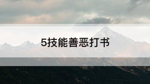 5技能善恶打书