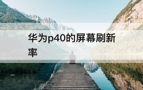 华为p40的屏幕刷新率
