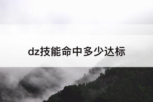 dz技能命中多少达标