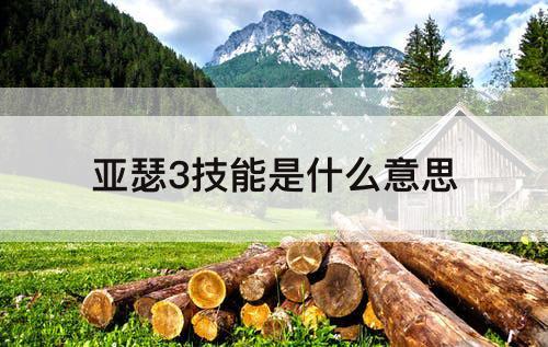亚瑟3技能是什么意思