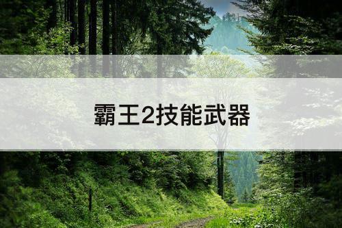 霸王2技能武器