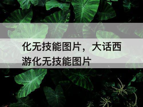 化无技能图片，大话西游化无技能图片