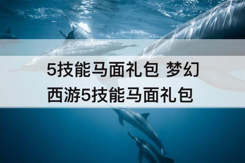 5技能马面礼包 梦幻西游5技能马面礼包