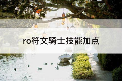 ro符文骑士技能加点