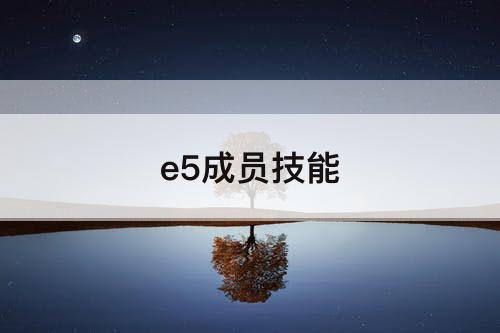 e5成员技能
