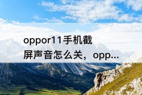 oppor11手机截屏声音怎么关，oppor11手机截屏声音怎么关闭