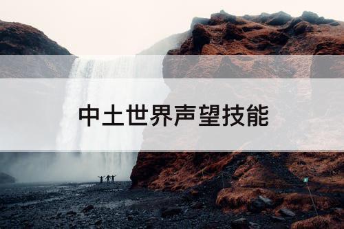 中土世界声望技能