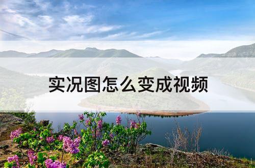实况图怎么变成视频