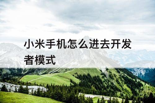 小米手机怎么进去开发者模式